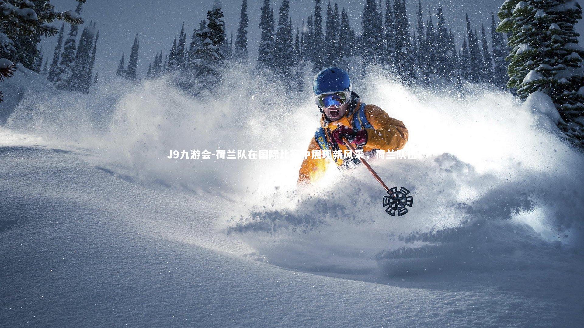 荷兰队在国际比赛中展现新风采，荷兰队伍